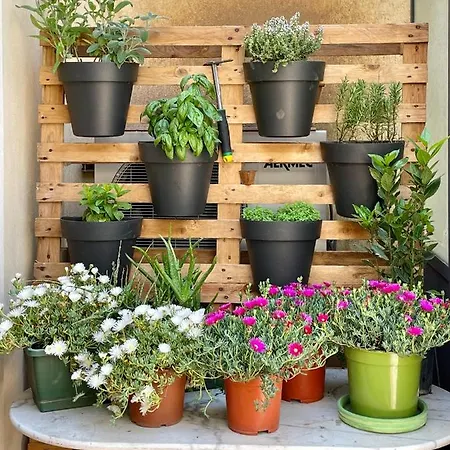 Lägenhet Scs Alaimo Flat Catania